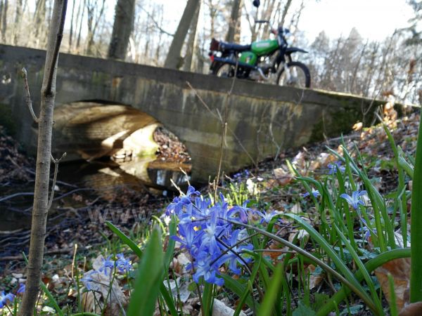 Angefgtes Bild
