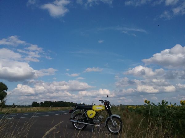 Angefgtes Bild