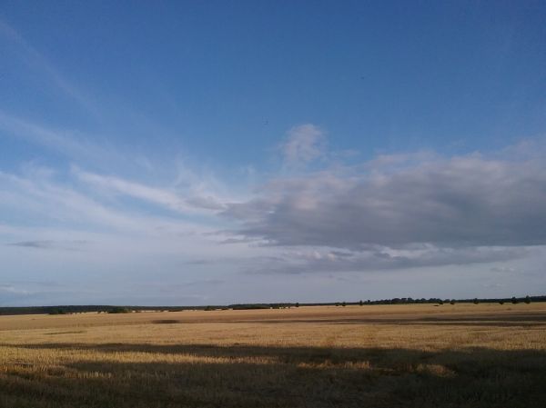Angefgtes Bild