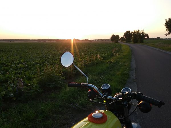 Angefgtes Bild