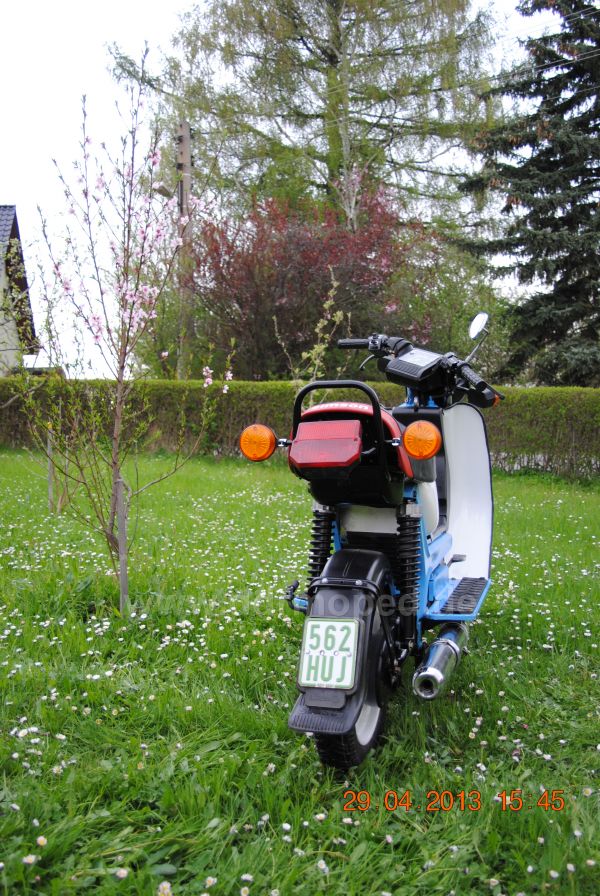 Angefügtes Bild