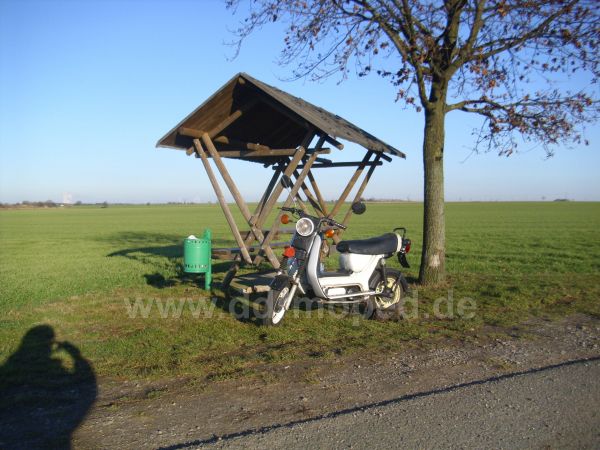 Angefügtes Bild