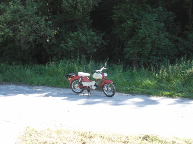 Angefgtes Bild