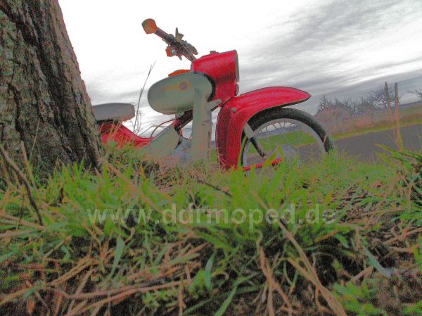 Angefgtes Bild