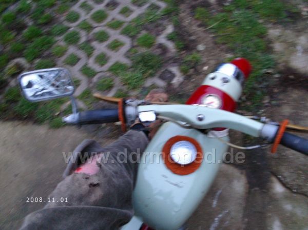 Angefügtes Bild