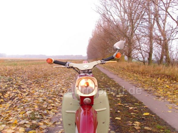 Angef�gtes Bild