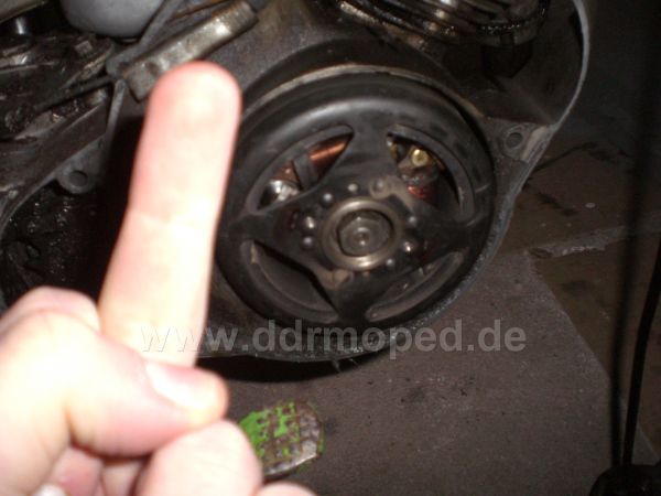 Angefgtes Bild