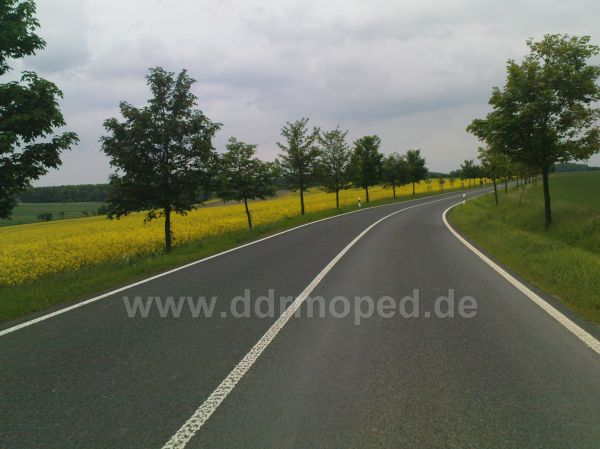 Angef�gtes Bild
