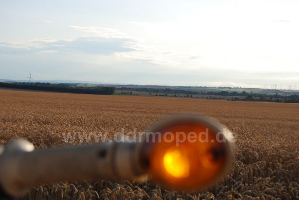 Angefgtes Bild