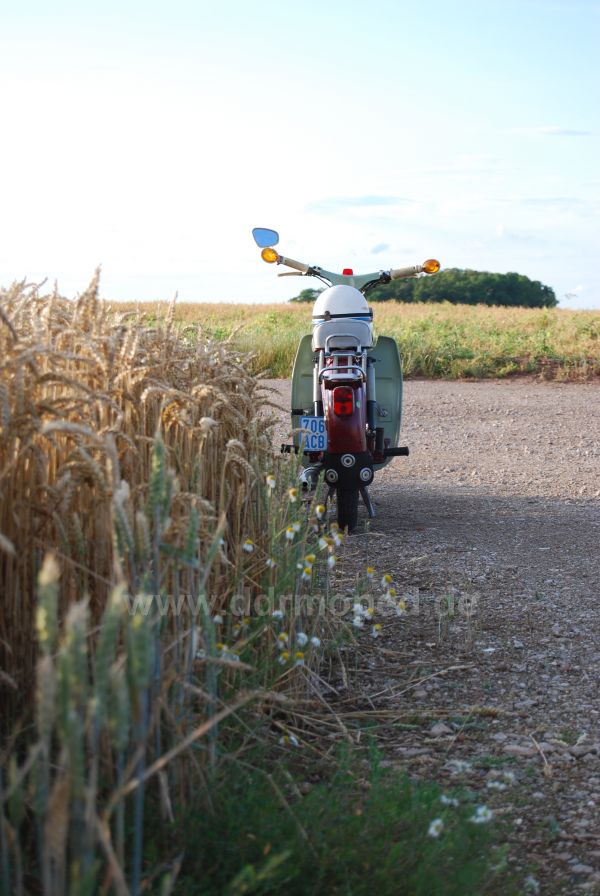 Angefgtes Bild