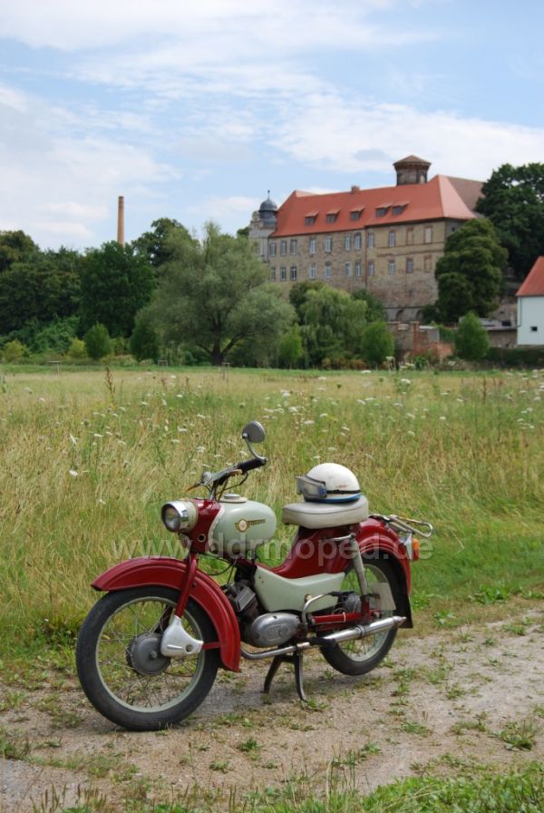 Angefgtes Bild