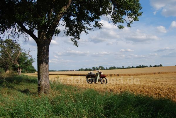 Angefgtes Bild