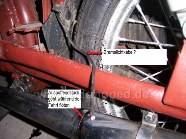 Angefgtes Bild