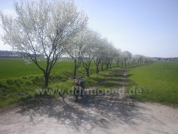 Angefgtes Bild
