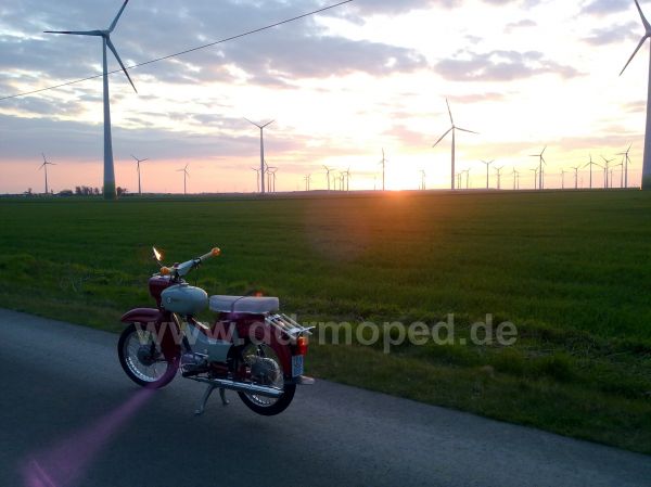Angefgtes Bild