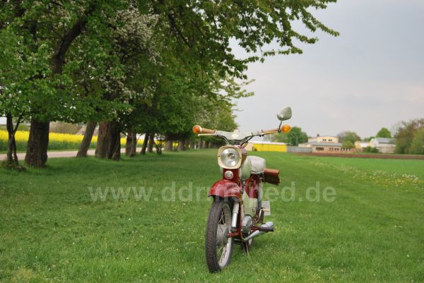 Angefgtes Bild