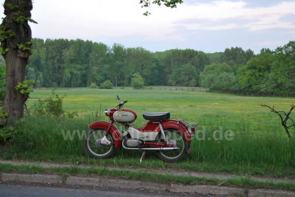 Angefgtes Bild