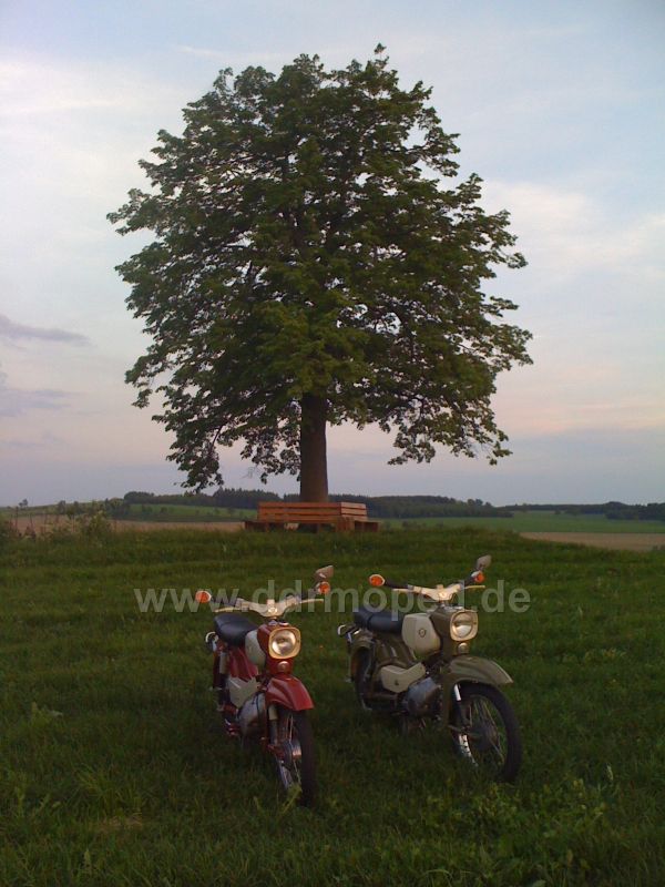 Angefgtes Bild
