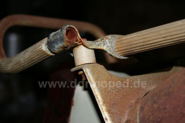 Angefgtes Bild