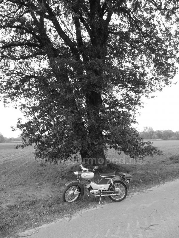 Angefgtes Bild