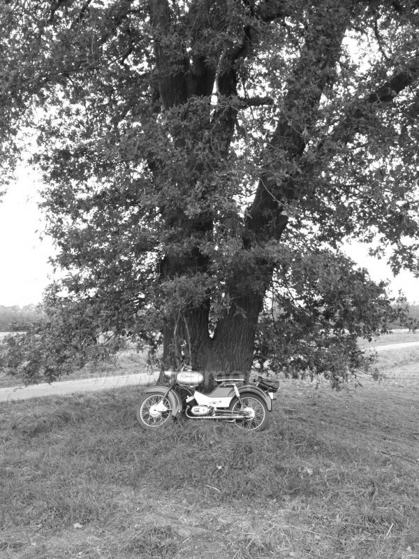 Angefgtes Bild