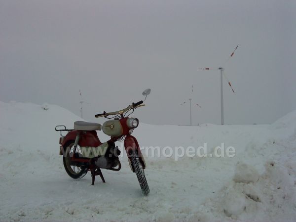 Angefgtes Bild