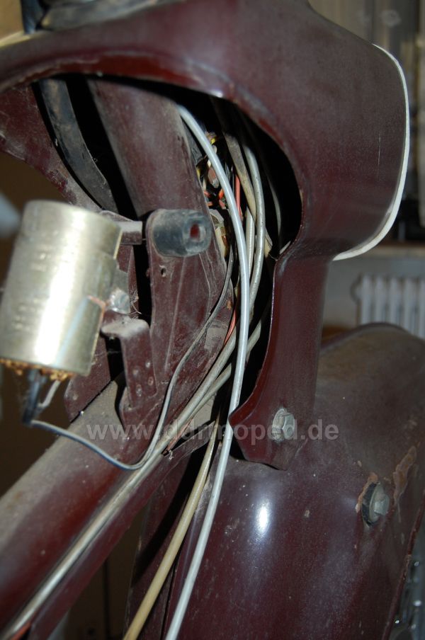 Angefgtes Bild
