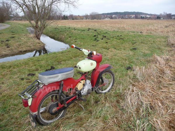 Angefgtes Bild