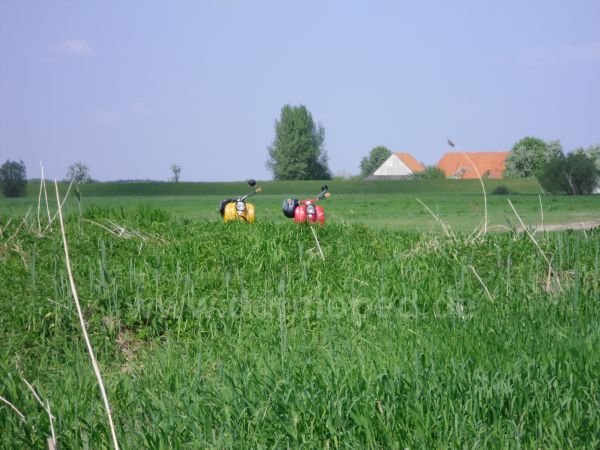 Angefgtes Bild