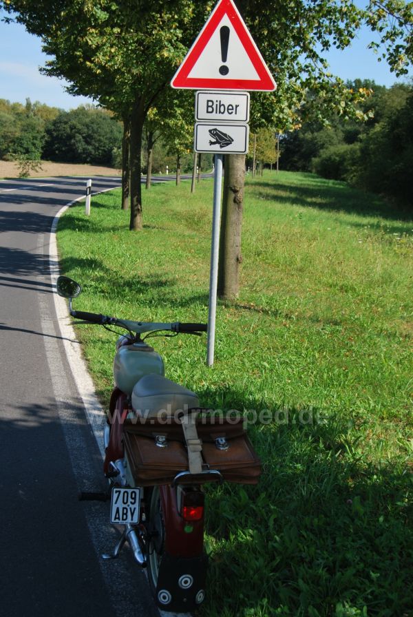 Angefgtes Bild