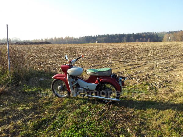 Angefgtes Bild
