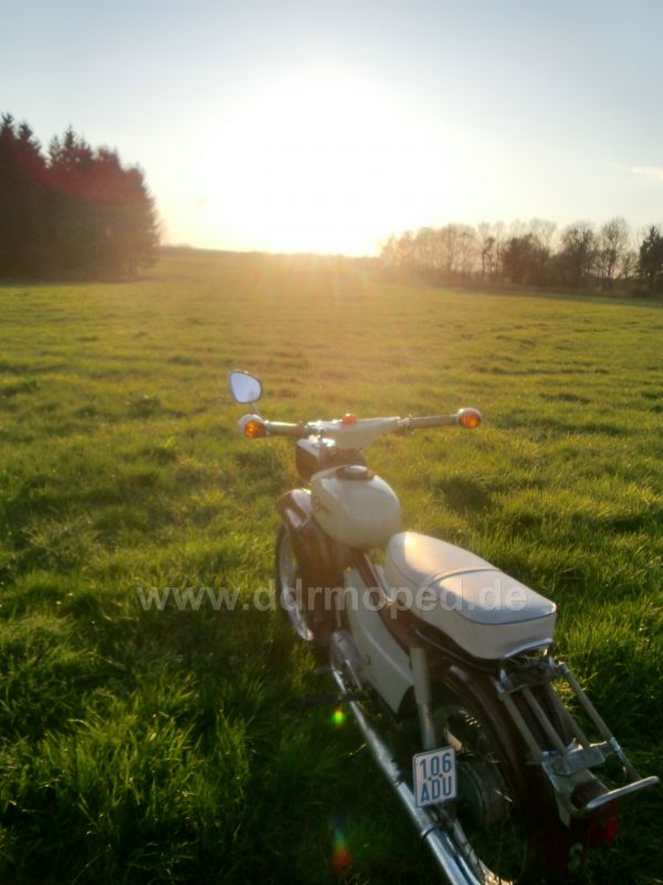 Angefgtes Bild