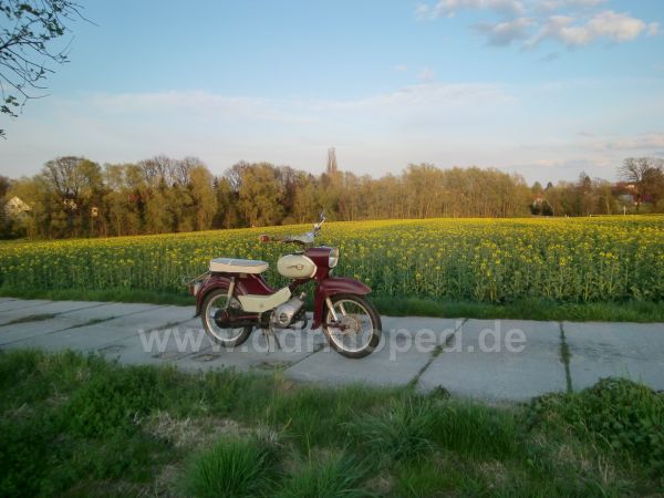 Angefgtes Bild