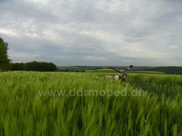 Angefgtes Bild