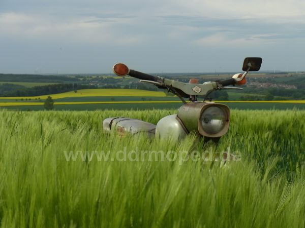 Angefgtes Bild