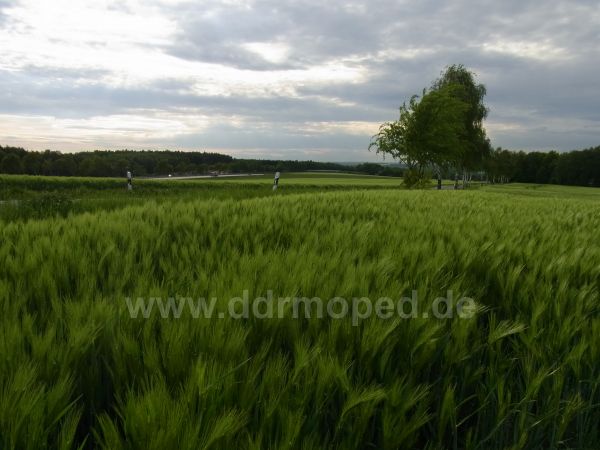 Angefgtes Bild