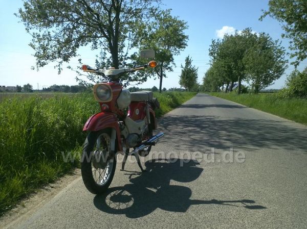 Angefgtes Bild