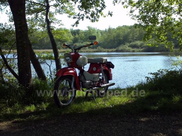 Angefgtes Bild