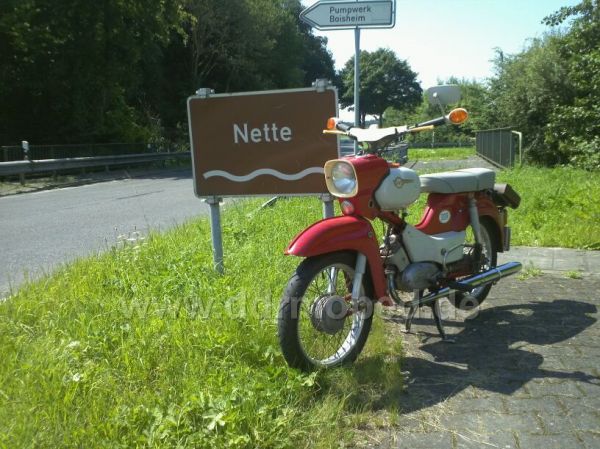Angefgtes Bild