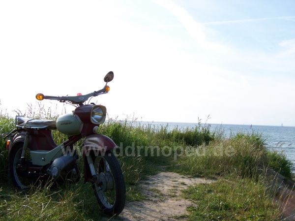 Angefgtes Bild