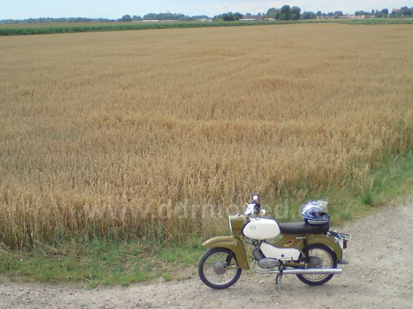 Angefgtes Bild