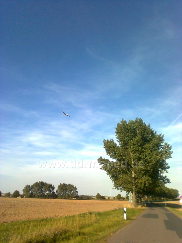 Angefgtes Bild