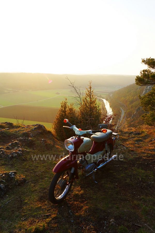 Angefgtes Bild