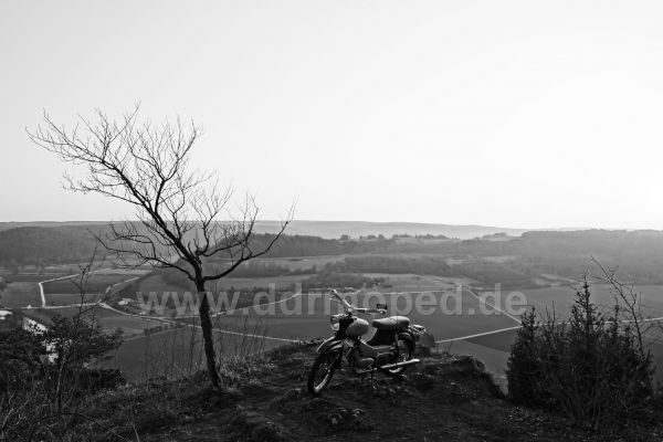 Angefgtes Bild