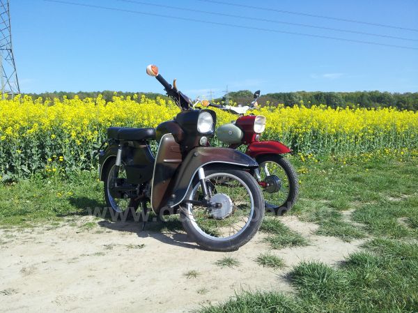 Angefügtes Bild