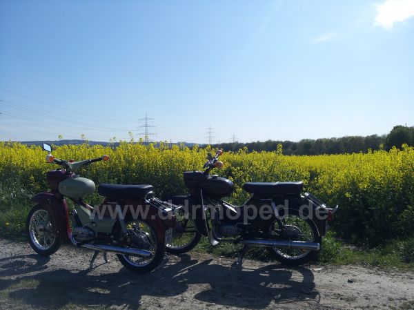 Angefgtes Bild