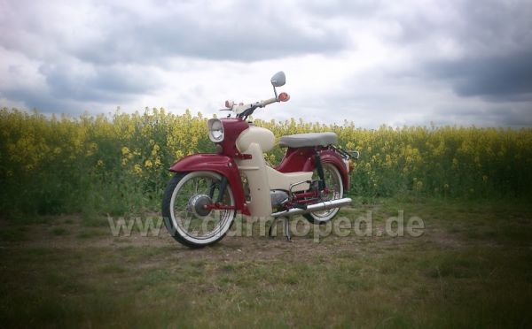 Angefügtes Bild