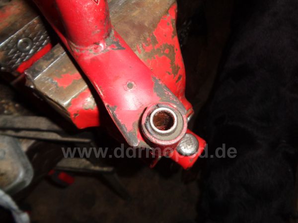 Angefügtes Bild