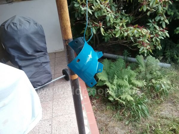 Angefgtes Bild