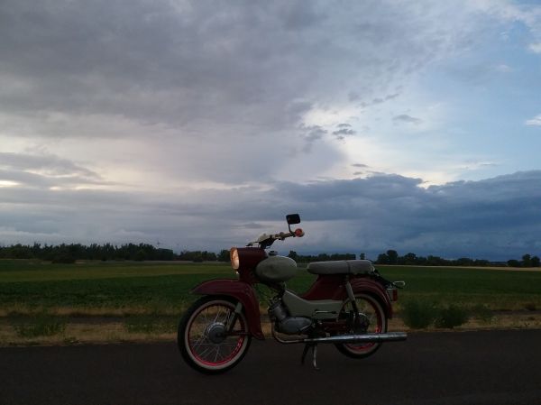 Angefgtes Bild